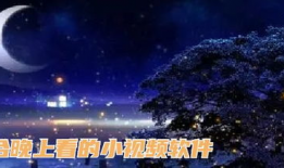 适合晚上看的视频,精选晚间观影佳作